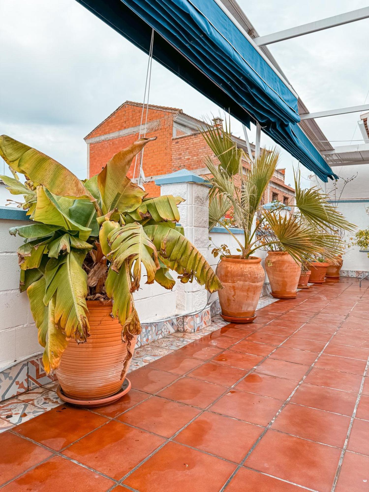 Casa Cruz *